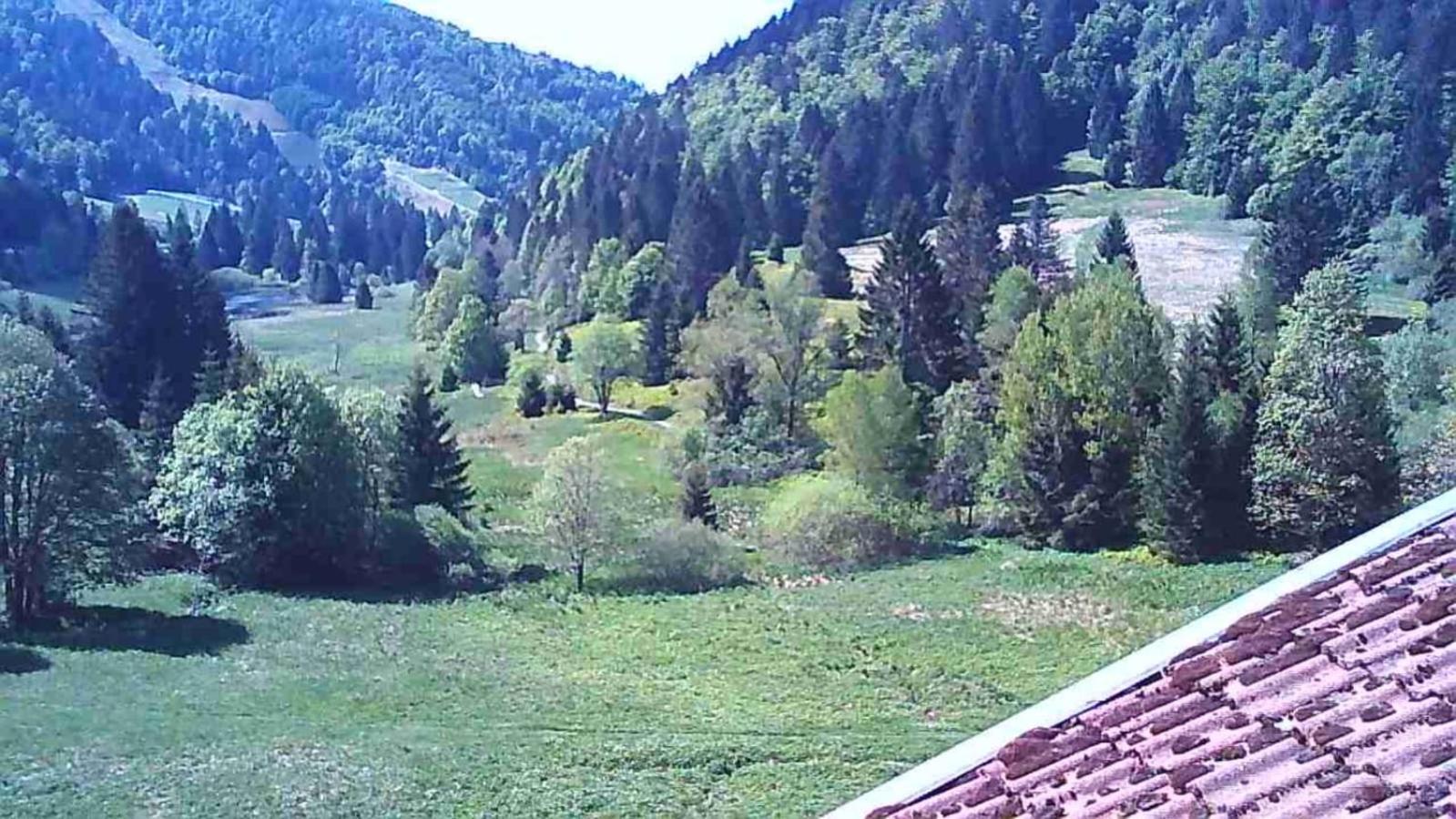 Chalet Des Belles Roches, 14 Pers, Garden, Sauna La Bresse Exteriér fotografie